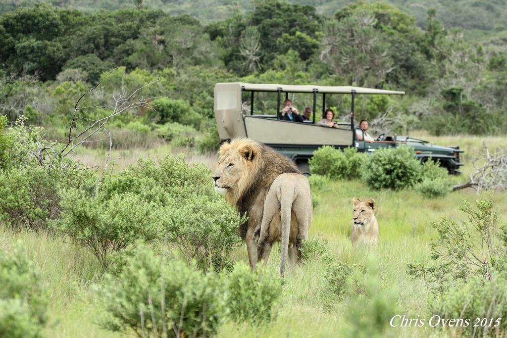 Sibuya Game Reserve And Lodge Кентън он Сий Екстериор снимка